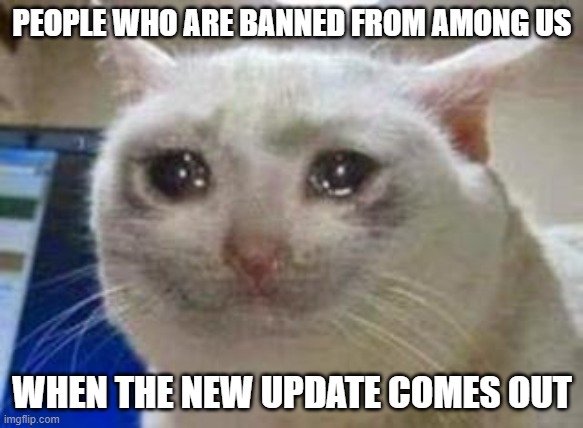 Im banned from among us :( | PEOPLE WHO ARE BANNED FROM AMONG US; WHEN THE NEW UPDATE COMES OUT | image tagged in sad cat | made w/ Imgflip meme maker