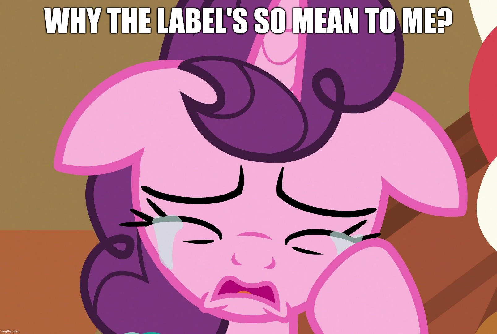 WHY THE LABEL'S SO MEAN TO ME? | made w/ Imgflip meme maker