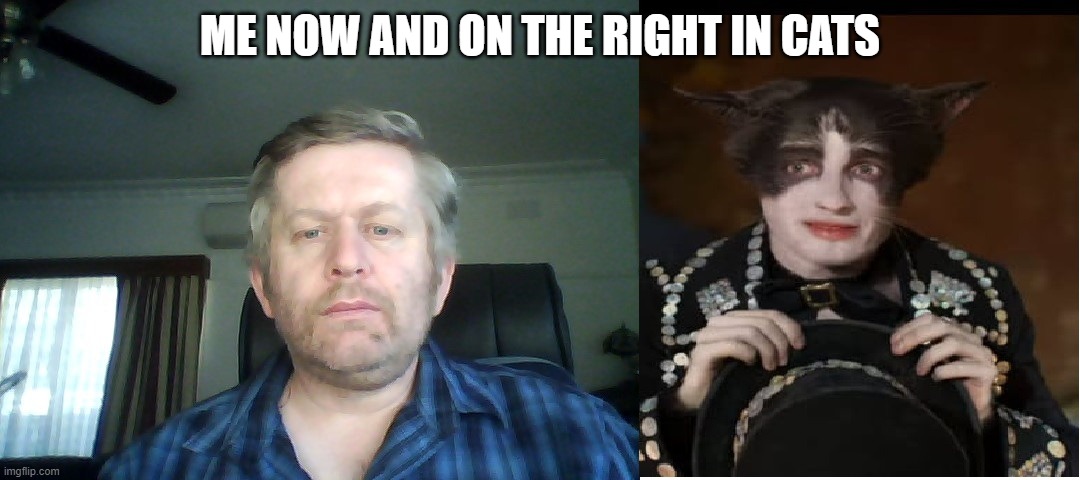 Andrew Taylor | ME NOW AND ON THE RIGHT IN CATS | image tagged in andrew taylor | made w/ Imgflip meme maker