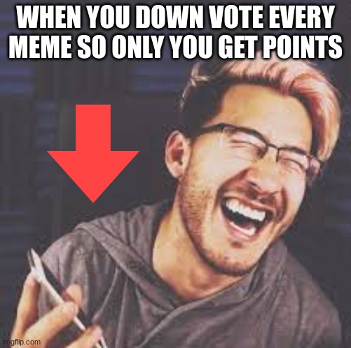 when you  downvote to get points | WHEN YOU DOWN VOTE EVERY MEME SO ONLY YOU GET POINTS | image tagged in markiplier lol | made w/ Imgflip meme maker