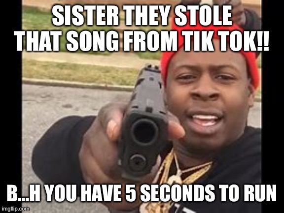 black man with gun | SISTER THEY STOLE THAT SONG FROM TIK TOK!! B…H YOU HAVE 5 SECONDS TO RUN | image tagged in black man with gun | made w/ Imgflip meme maker