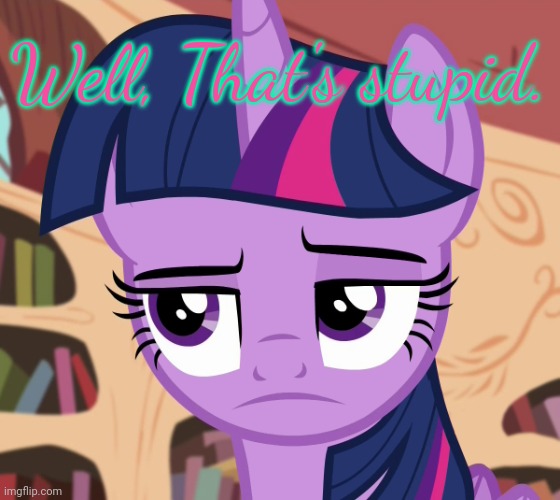 Unamused Twilight Sparkle (MLP) | Well, That's stupid. | image tagged in unamused twilight sparkle mlp | made w/ Imgflip meme maker