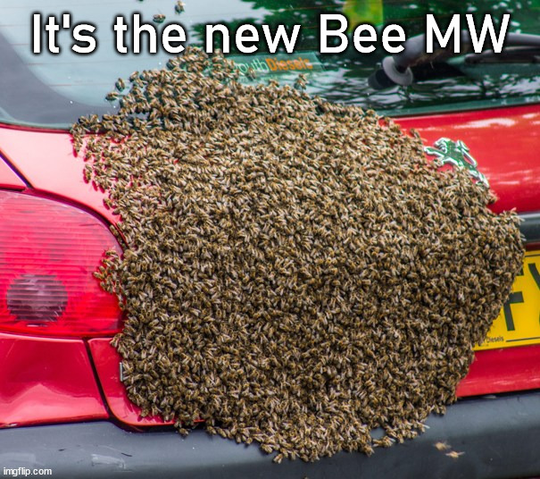 It's the new Bee MW | image tagged in eyeroll | made w/ Imgflip meme maker