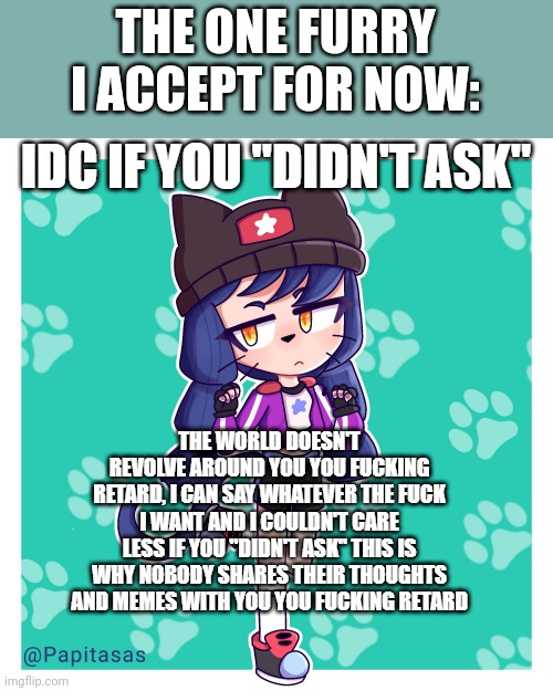 idc if you didnt ask brawl stars heroine bibi | THE ONE FURRY I ACCEPT FOR NOW: | image tagged in idc if you didnt ask brawl stars heroine bibi | made w/ Imgflip meme maker