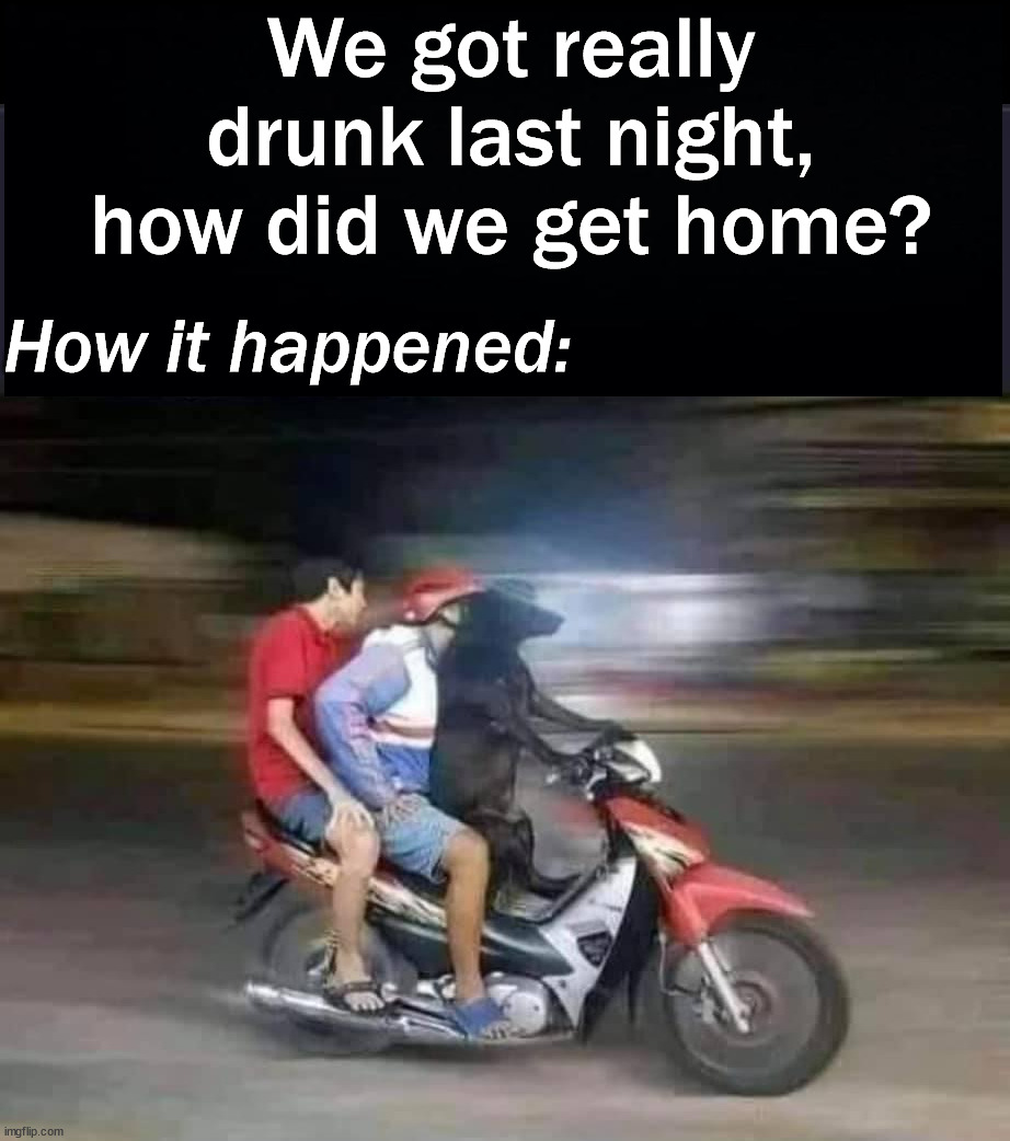 We got really drunk last night, how did we get home? How it happened: | image tagged in dog driving,drunk | made w/ Imgflip meme maker