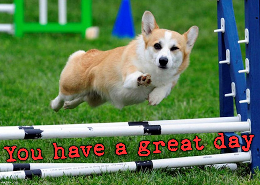 You have a great day | image tagged in dogs | made w/ Imgflip meme maker