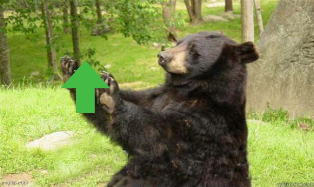 How about no bear | image tagged in how about no bear | made w/ Imgflip meme maker