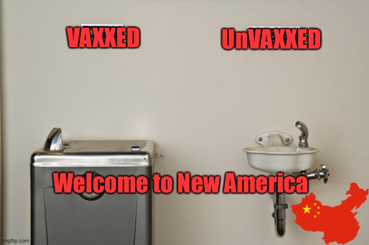 Vaccine Passport | UnVAXXED; VAXXED; Welcome to New America | image tagged in vaccines,covid-19,china,pandemic | made w/ Imgflip meme maker