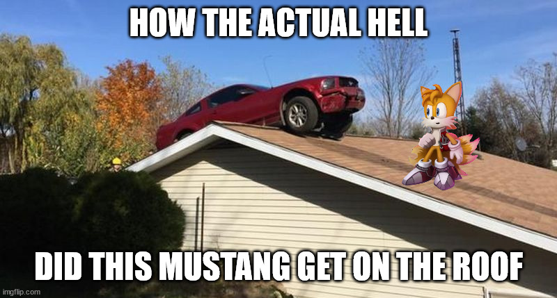 Mustang on a roof |  HOW THE ACTUAL HELL; DID THIS MUSTANG GET ON THE ROOF | image tagged in mustang on a roof | made w/ Imgflip meme maker