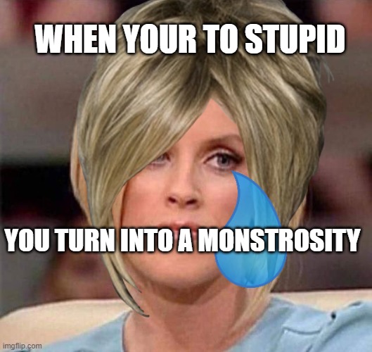 karen | WHEN YOUR TO STUPID; YOU TURN INTO A MONSTROSITY | image tagged in memes,omg karen | made w/ Imgflip meme maker