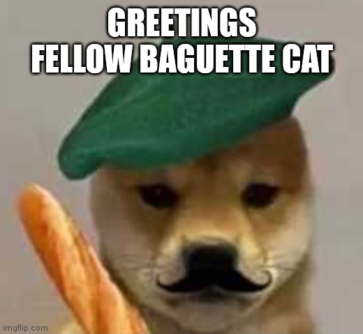 French Doge | GREETINGS FELLOW BAGUETTE CAT | image tagged in french doge | made w/ Imgflip meme maker