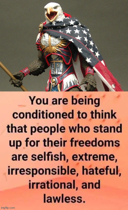Stand for all of our rights | image tagged in political meme | made w/ Imgflip meme maker