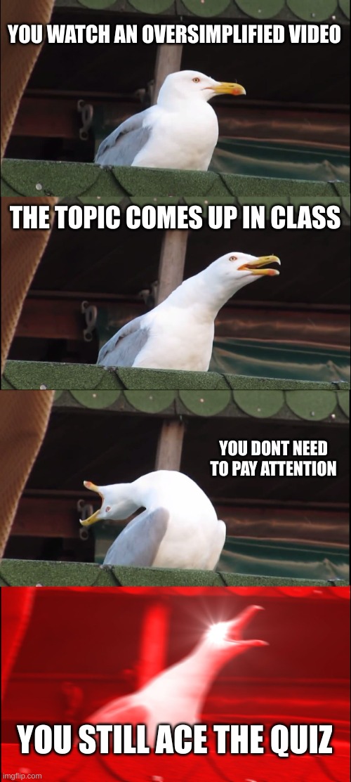thank you oversimplified | YOU WATCH AN OVERSIMPLIFIED VIDEO; THE TOPIC COMES UP IN CLASS; YOU DONT NEED TO PAY ATTENTION; YOU STILL ACE THE QUIZ | image tagged in memes,inhaling seagull,oversimplified | made w/ Imgflip meme maker