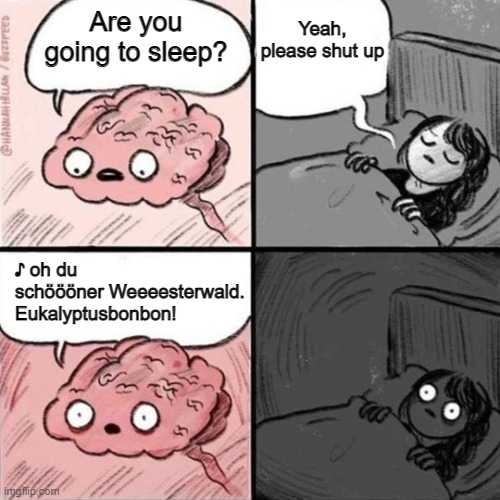 Brain Sleep Meme | image tagged in brain sleep meme,eukalyptusbonbon,westerwald,german song | made w/ Imgflip meme maker