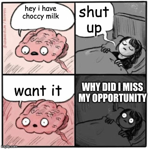 Brain Before Sleep | shut up; hey i have choccy milk; want it; WHY DID I MISS MY OPPORTUNITY | image tagged in brain before sleep | made w/ Imgflip meme maker