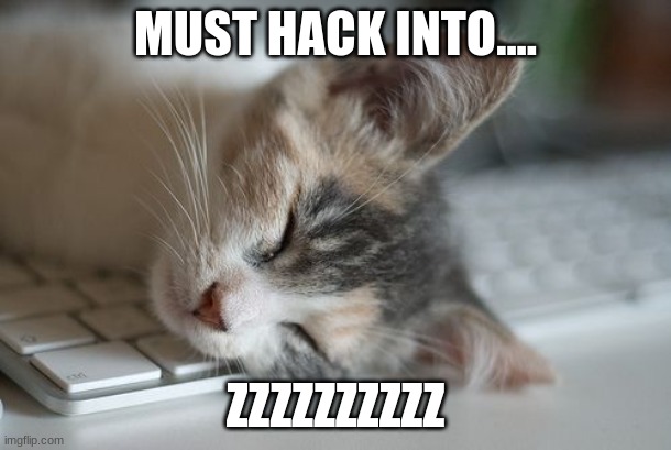 sleeping cat | MUST HACK INTO.... ZZZZZZZZZZ | image tagged in sleeping cat | made w/ Imgflip meme maker