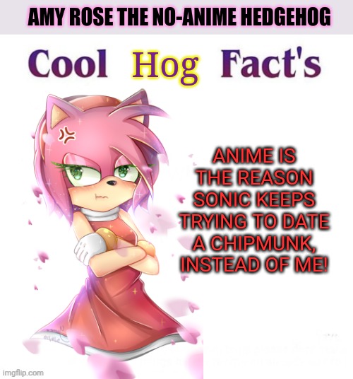 Amy rose the no anime hedgehog | AMY ROSE THE NO-ANIME HEDGEHOG; Hog; ANIME IS THE REASON SONIC KEEPS TRYING TO DATE A CHIPMUNK, INSTEAD OF ME! | image tagged in cool facts,no anime,hedgehog,amy rose,anime killed my family | made w/ Imgflip meme maker