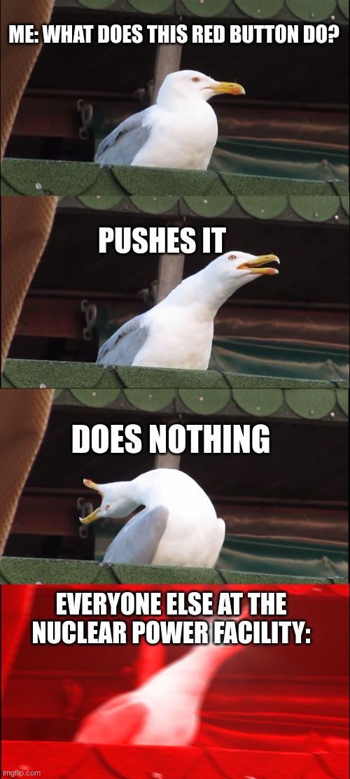 Inhaling Seagull Meme | ME: WHAT DOES THIS RED BUTTON DO? PUSHES IT; DOES NOTHING; EVERYONE ELSE AT THE NUCLEAR POWER FACILITY: | image tagged in memes,inhaling seagull | made w/ Imgflip meme maker