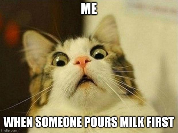 WHAT? |  ME; WHEN SOMEONE POURS MILK FIRST | image tagged in memes,scared cat | made w/ Imgflip meme maker