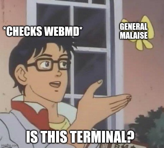 Game over | GENERAL MALAISE; *CHECKS WEBMD*; IS THIS TERMINAL? | image tagged in memes,is this a pigeon,lol so funny,fun | made w/ Imgflip meme maker