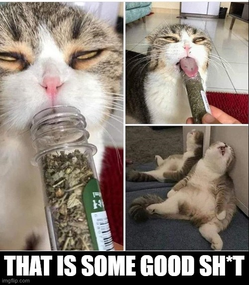 Heck with brownies. Just sniff this stuff & you get a righteous buzz | THAT IS SOME GOOD SH*T | image tagged in vince vance,cats,weed,marijuana,stoner cat,memes | made w/ Imgflip meme maker