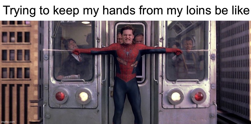 Half way there. | Trying to keep my hands from my loins be like | image tagged in spider-man train | made w/ Imgflip meme maker