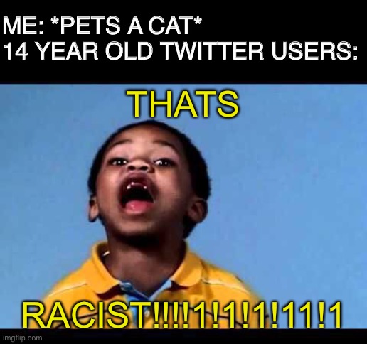 That's racist 2 | ME: *PETS A CAT* 
14 YEAR OLD TWITTER USERS:; THATS; RACIST!!!!1!1!1!11!1 | image tagged in that's racist 2,memes | made w/ Imgflip meme maker