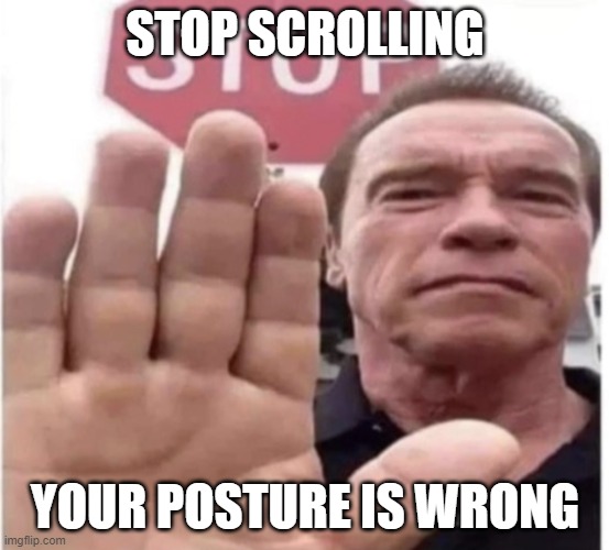 stop | STOP SCROLLING; YOUR POSTURE IS WRONG | image tagged in stop scrolling arnold | made w/ Imgflip meme maker