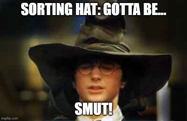 Harry Potter sorting hat | SORTING HAT: GOTTA BE... SMUT! | image tagged in harry potter sorting hat | made w/ Imgflip meme maker