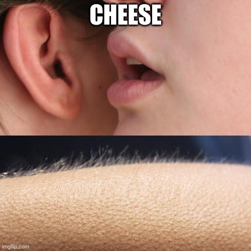 Whisper and Goosebumps | CHEESE | image tagged in whisper and goosebumps | made w/ Imgflip meme maker