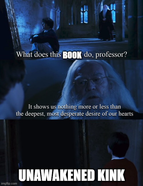 Harry potter mirror | BOOK; UNAWAKENED KINK | image tagged in harry potter mirror | made w/ Imgflip meme maker