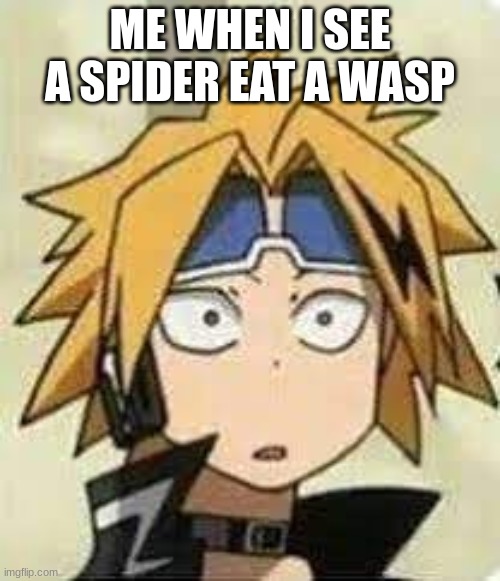 surprised denki | ME WHEN I SEE A SPIDER EAT A WASP | image tagged in surprised denki | made w/ Imgflip meme maker