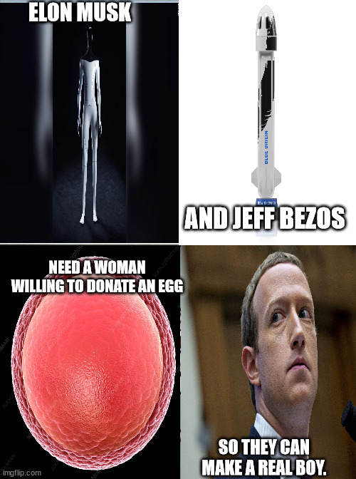 JD71 | ELON MUSK; AND JEFF BEZOS; NEED A WOMAN WILLING TO DONATE AN EGG; SO THEY CAN MAKE A REAL BOY. | image tagged in funny | made w/ Imgflip meme maker