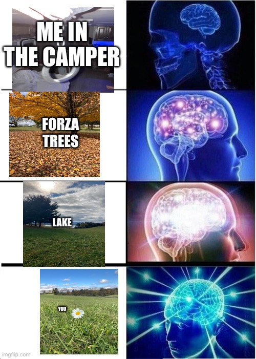 doesn’t make sense but makes sense ?‍?? | ME IN THE CAMPER; FORZA TREES; LAKE; YOU | image tagged in memes,expanding brain,fy,funny | made w/ Imgflip meme maker