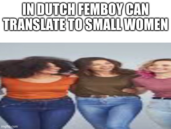 IN DUTCH FEMBOY CAN TRANSLATE TO SMALL WOMEN | made w/ Imgflip meme maker