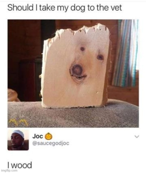Doge | image tagged in doge,wood,memes | made w/ Imgflip meme maker
