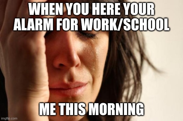 First World Problems | WHEN YOU HERE YOUR ALARM FOR WORK/SCHOOL; ME THIS MORNING | image tagged in memes,first world problems | made w/ Imgflip meme maker