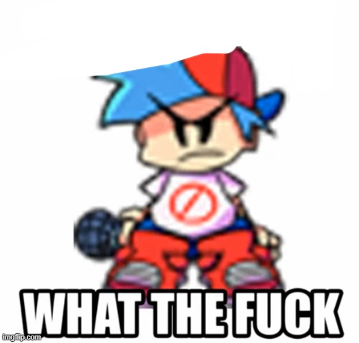 BF what the fucc | image tagged in bf what the fucc | made w/ Imgflip meme maker
