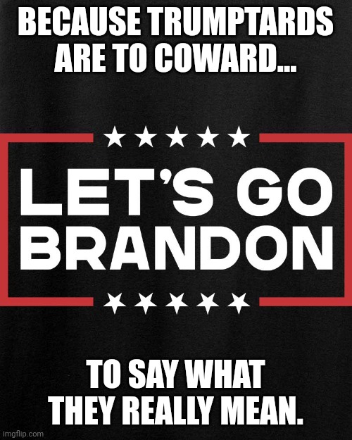 Trupussies | BECAUSE TRUMPTARDS ARE TO COWARD... TO SAY WHAT THEY REALLY MEAN. | image tagged in trump,trump supporter,republican,conservative,liberals,biden obama | made w/ Imgflip meme maker