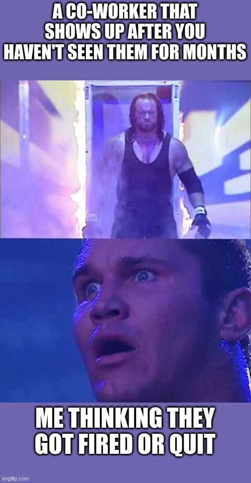 work meme | A CO-WORKER THAT SHOWS UP AFTER YOU HAVEN'T SEEN THEM FOR MONTHS; ME THINKING THEY GOT FIRED OR QUIT | image tagged in work meme,undertaker,randy orton | made w/ Imgflip meme maker