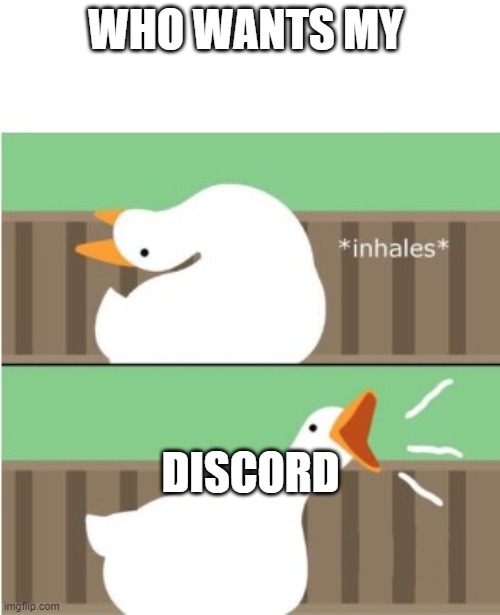 Untitled goose game honk | WHO WANTS MY; DISCORD | image tagged in untitled goose game honk | made w/ Imgflip meme maker