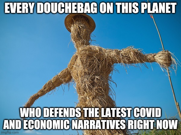 Strawman | EVERY DOUCHEBAG ON THIS PLANET; WHO DEFENDS THE LATEST COVID AND ECONOMIC NARRATIVES RIGHT NOW | image tagged in strawman,covid19 | made w/ Imgflip meme maker