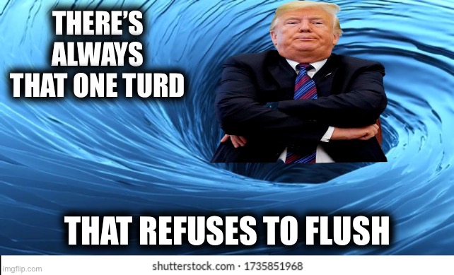 THERE’S ALWAYS THAT ONE TURD; THAT REFUSES TO FLUSH | image tagged in memes | made w/ Imgflip meme maker