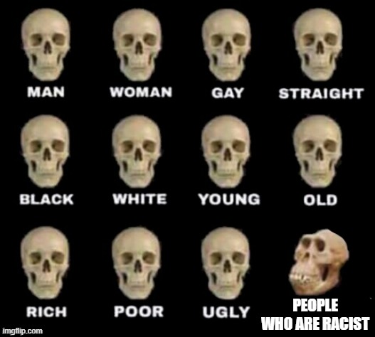 END RACISM!!!!!! | PEOPLE WHO ARE RACIST | image tagged in idiot skull | made w/ Imgflip meme maker