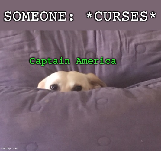 LANGUAGE |  SOMEONE: *CURSES*; Captain America | image tagged in peek a boo,marvel,captain america,steve rogers,language,dog | made w/ Imgflip meme maker