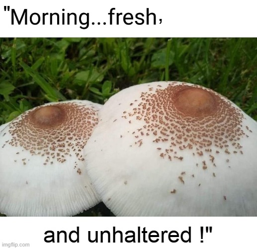 Mushrooms | "                          , and unhaltered !" | image tagged in looser | made w/ Imgflip meme maker