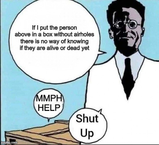 Schrödinger's cat | If I put the person above in a box without airholes there is no way of knowing if they are alive or dead yet; MMPH HELP | image tagged in schr dinger's cat | made w/ Imgflip meme maker