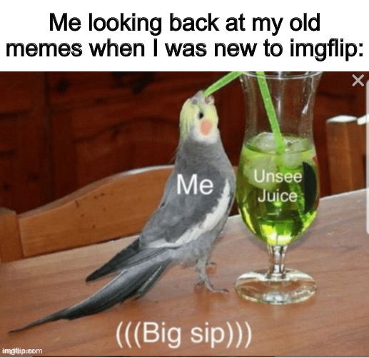 They’re deleted so you can’t see them. HAHA | Me looking back at my old memes when I was new to imgflip: | image tagged in unseen juice | made w/ Imgflip meme maker