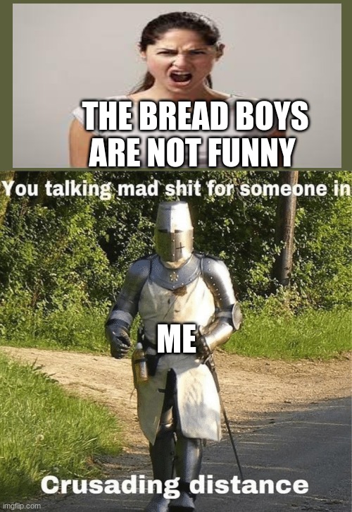 You talking mad shit for someone in crusading distance | THE BREAD BOYS ARE NOT FUNNY; ME | image tagged in you talking mad shit for someone in crusading distance | made w/ Imgflip meme maker