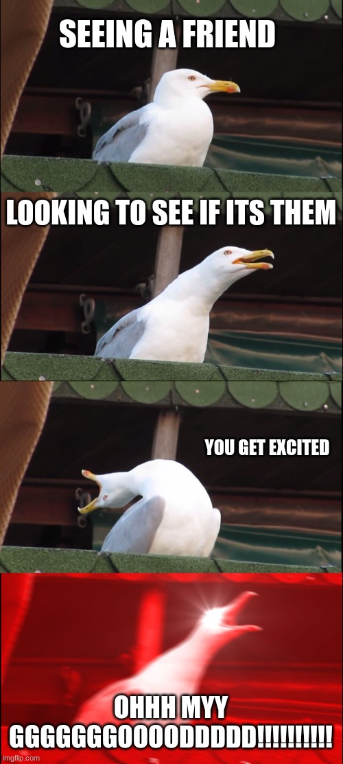 Inhaling Seagull | SEEING A FRIEND; LOOKING TO SEE IF ITS THEM; YOU GET EXCITED; OHHH MYY GGGGGGGOOOODDDDD!!!!!!!!!! | image tagged in memes,inhaling seagull | made w/ Imgflip meme maker